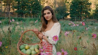 Days In My Cottage Kitchen- Fermenting and Preserving