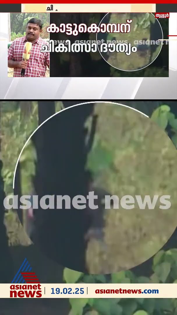 പുലർച്ചെ തന്നെ മയക്കുവെടി വച്ചത് എത്രയും പെട്ടെന്ന് ആനയെ കോടനാട്ടേക്ക് മാറ്റാൻ
