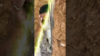 Mulher Dele Botou Ele Pra Fora De Casa