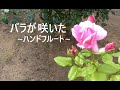 バラが咲いた / 浜口庫之助 / ハンドフルート