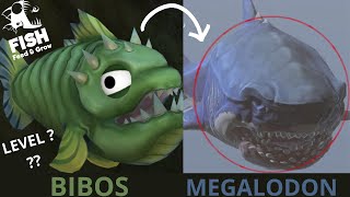 Feed And Grow Fish - When a Level ??? BIBOS somehow Eats the MEGALODON!..