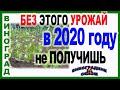 🍇 ЕСЛИ не ХОЧЕШЬ ПОТЕРЯТЬ УРОЖАЙ в ЭТОМ ГОДУ. ОБЯЗАТЕЛЬНО ПРОВЕДИ эти МЕРОПРИЯТИЯ на ВИНОГРАДНИКЕ.