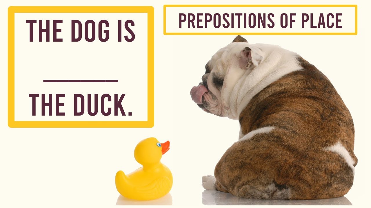 Behind, Next To, In Front Of, Above, Between | Learn Prepositions Of Place | English Quiz