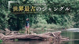 夜のジャングルを探検！激レア動物たちに遭遇🐍！｜タイ・カオソック
