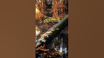 سورة يوسف والشيخ محمد صديق المنشاوى