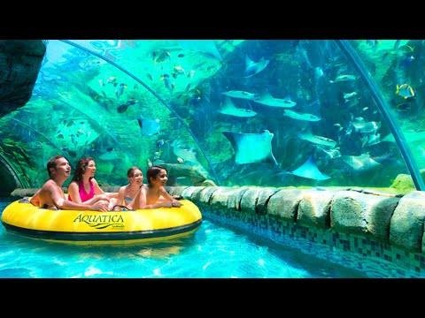 Видео: Aquatica Orlando - первый в мире аквапарк, сертифицированный для аутистов