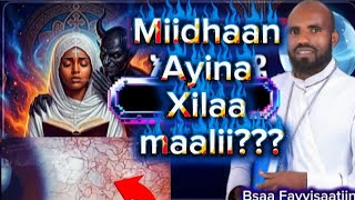Gaaffif  251917714671Miidhaan Afuura Ayina xilaa ykn gaaddidduu ijaa maalii 