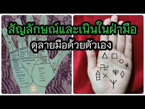 วีดีโอ: สัญลักษณ์แห่งมิตรภาพ - สัญลักษณ์แห่งความอดทน?