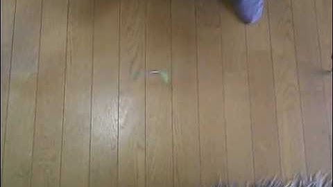 Demonstration of 1st Overtone of a string vibration.AVI