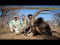 2 Countries with 3 Friends hunting Cape Buffalo and 12 other.