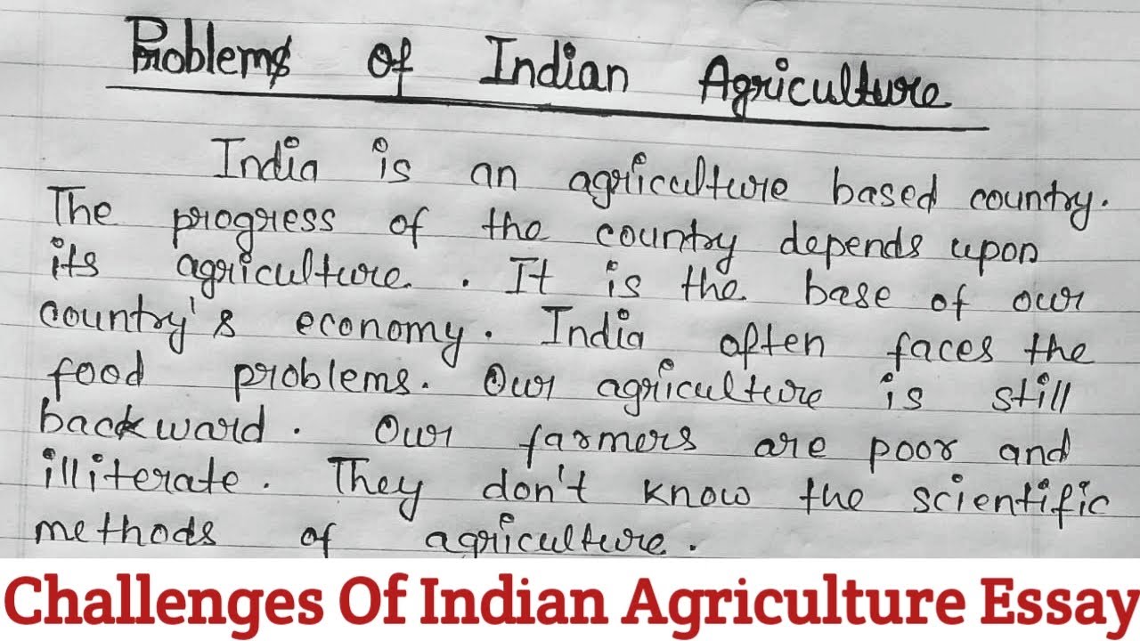 problems of india essay