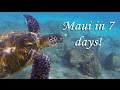 7 days in Maui - Road to Hana, Haleakala Crater, Whales, Scuba, and More!