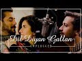 Dil diyan gallan unplugged tiger zinda hain radhey vyas