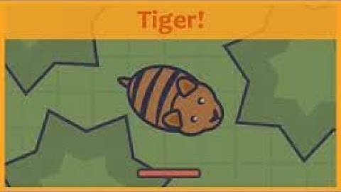 Moomoo.io Tiger mod! fix share 2022-2023