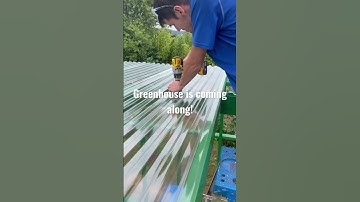 Thumbnail of Greenhouse DIY project! #diy #greenhouse #fun #paint #construction #shorts