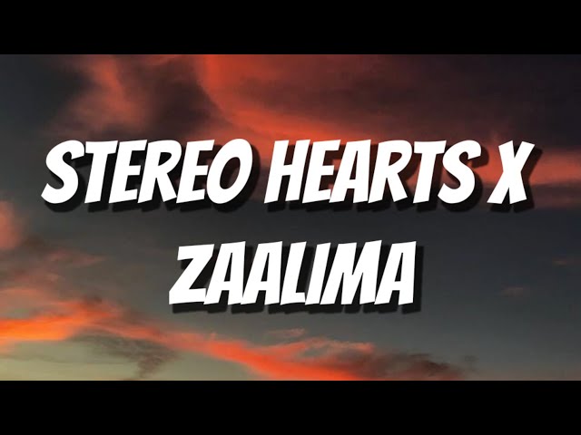 Stereo Hearts x Zaalima (Hindi x English Mashup) Lyrics class=