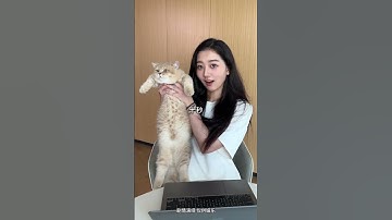 Excel教学 - 办公高手都带猫面试？#办公技巧 #面试 #职场 #办公技巧 #excel技巧 #excel #办公技巧 #excel技巧 #powerpoint  #photoshop #干货