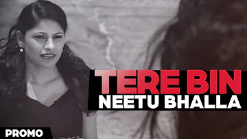 Tere Bin Neetu Bhalla  Teaser [ Official Video ] 2013 - Anand Music