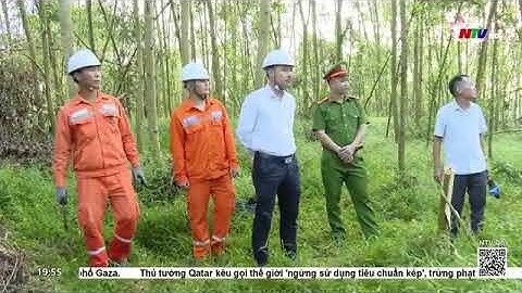 Công ty Điện lực Nghệ An tăng cường giải phóng hành lang, xử lý khiếm khuyết lưới điện năm 2025