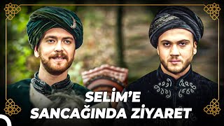 Bayezid, Selim'i Kontrol Etmek İçin Manisa'ya Geldi | Osmanlı Tarihi