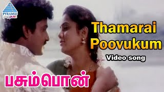 Pasumpon Tamil Movie Songs | Thamarai Poovukum Video Song | Vignesh | Yuvarani | Pyramid Glitz Music