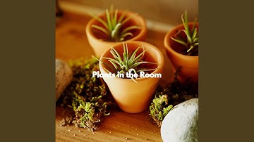 Atmospheric Backdrops for Limitless Boosts