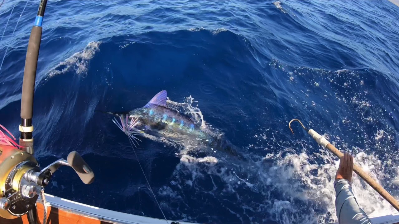 Deep Sea Fishing Kauai  Kauai Fishing Charters Port Allen