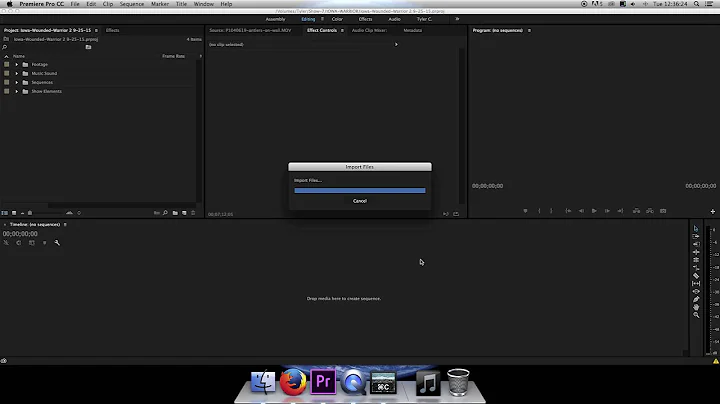 How to Import a Sequence into Premiere Pro from Another Project