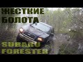 SUBARU FORESTER В ЖЕСТКИХ БОЛОТАХ МОРДОРА