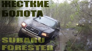 : SUBARU FORESTER    