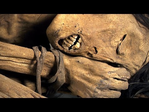 Video: A Mummified Finger Of A Giant Was Discovered In Egypt - - Alternative View