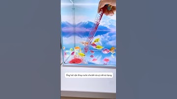 Bộ ống hút cặn nhỏ gọn thay nước cho bể cá đơn giản cực dể sử dụng #aquatic #shorts