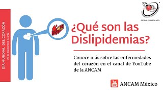 ¿Qué son las dislipidemias?