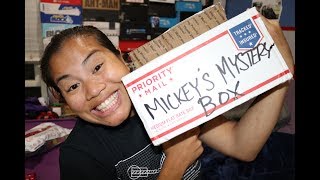 2017 June Mickeys Mystery Box Unboxing - Fairest Of Them All