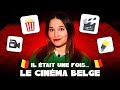 Le cinma belge les films danimation 