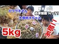 【二郎系】【自家製麺No11】総重量5kg を麺だけで4kgで頼んでみたら思わぬ高難度大食いチャレンジに…