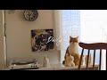 DAILY VLOG '好き'を大切にする平凡な日常｜念願の場所へ