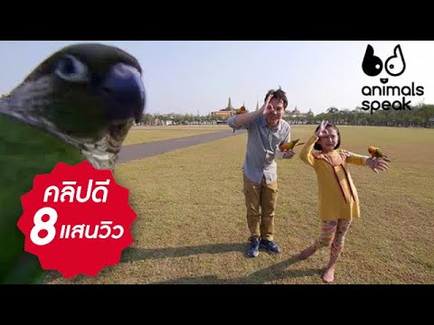 Animals Speak [by Mahidol] เลี้ยงนกไม่ง้อกรง (8 มิถุนายน 2557)