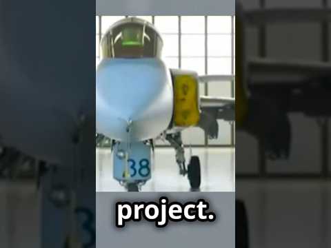 Flygsystem 2020  Sweden's Stealth Fighter to Rival China's J 36