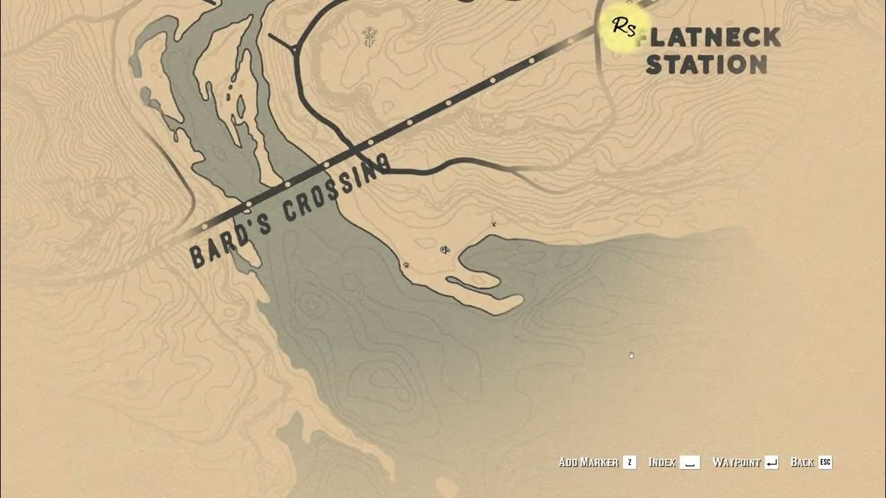 Опоссум в рдр 2. Опоссум рдр 2. виргинский опоссум рдр2. rdr 2 опоссум где.