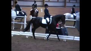 Luna Nova Skolmästerskapen Vreta 2008