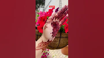 نقش الحناء التونسي Shorts نقش الحناء Desing 