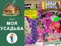 СЕЕМ ДЕЛЬФИНИУМ и ГОДЕЦИЮ