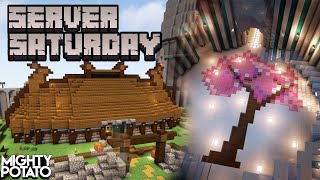 Server Saturday Season 10   Companions Guild and Trade Hall