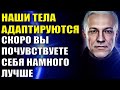 Наши тела приспосабливаются к новой жизни