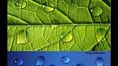 Water Droplets Effects CorelDraw X7 Tutorial - KingspetDesigns