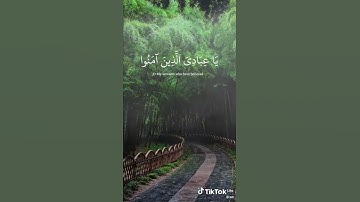 ارح سمعك القرآن الكريم  آيات الله م(سوره العنكبوت) خشوع 🎧🖤😔