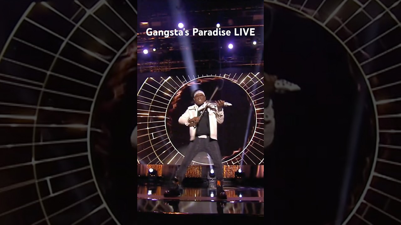 Gangsta's Paradise Electric Violin Cover