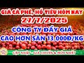 Giá Cà Phê Hôm Nay Ngày 27 7 2025 Giá Cà Phê Trong Nước MUA CAO HƠN SÀN 13 000Đ KH Giá Hồ Tiêu Giá Cà Phê Hôm Nay Ngày 27 7 2025 Giá Cà Phê Trong Nước MUA CAO HƠN SÀN 13 000Đ KH Giá Hồ Tiêu