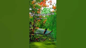 ما تيسر من سورة النبأ  بصوت القارىء احمد مرخان